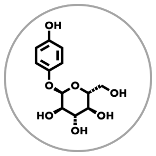 1% Alpha Arbutin