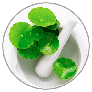 Cica Extract