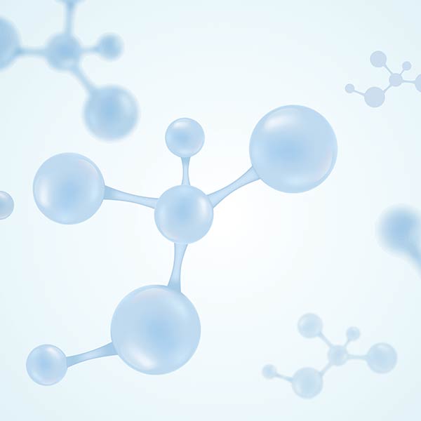 Root Biotech